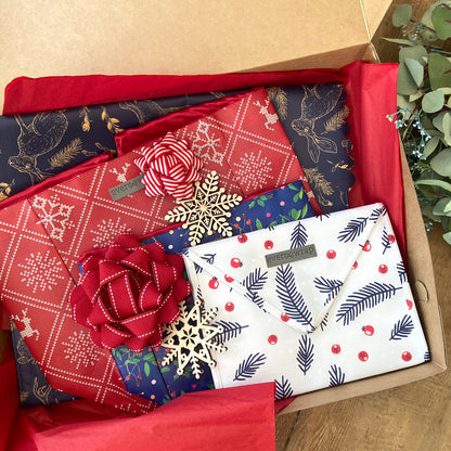 EverEnvelope Bundle of 10: Small Blue and Red Print Reusable Gift Bag with Magnetic Closure